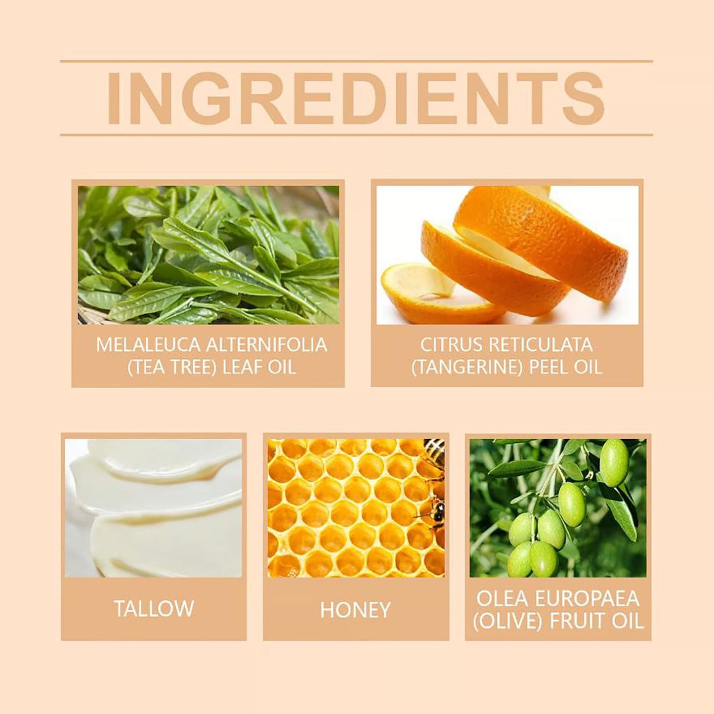 Organic Grass-Fed Beef Tallow Balm with Raw Honey
