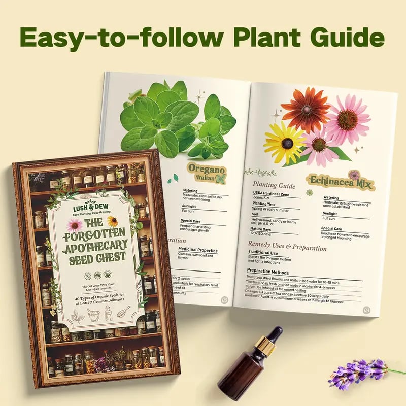 The Forgotten Apothecary Seed Chest - 40 Varieties of Non-GMO Medicinal Herb Seeds