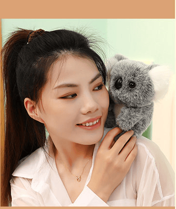 Emotional Healing on Demand Koala