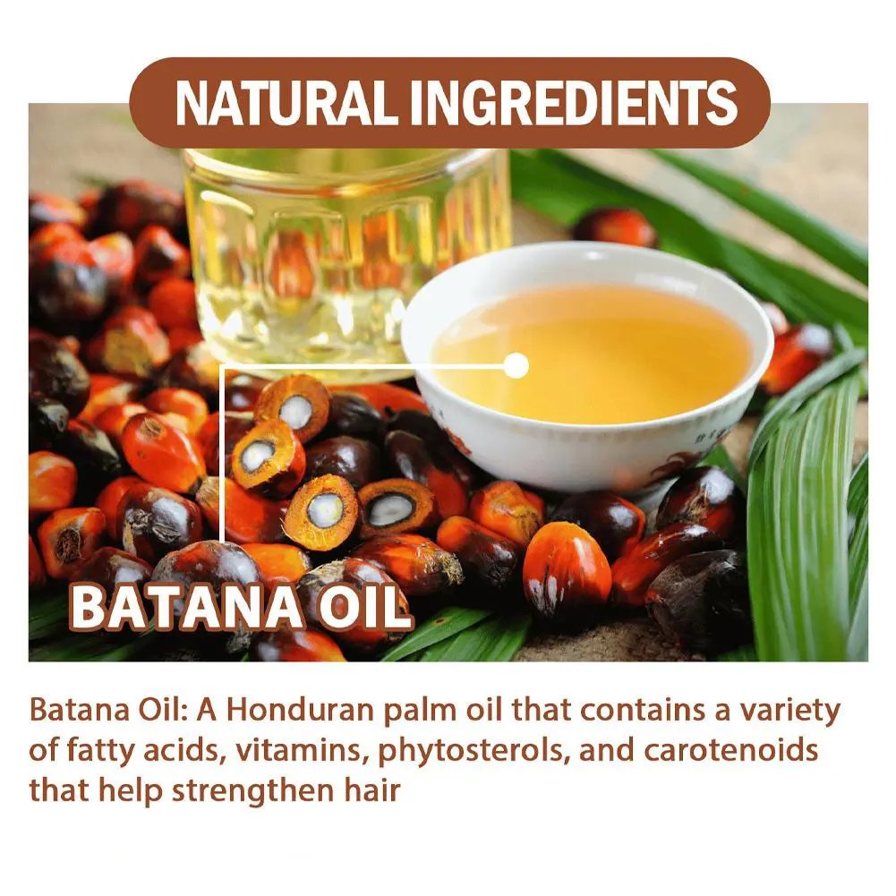 4 Pack Batana Oil
