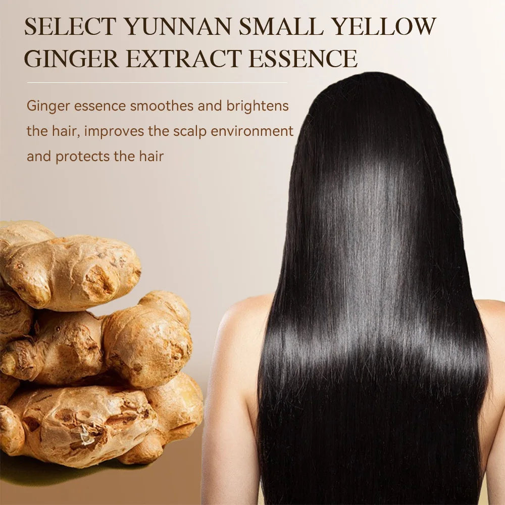 Silky Supple Shampoo Hair Oil Ginger Essence Natural Extract Smooth 500ml