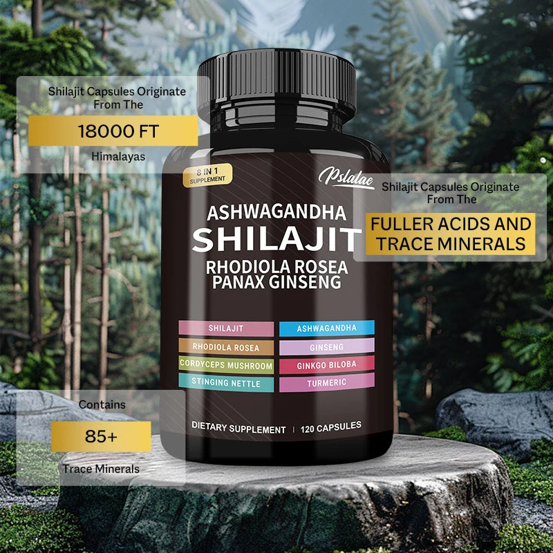 Shilajit Ashwagandha Rhodiola Rosea Boosts Energy and Endurance Increases Muscle Mass