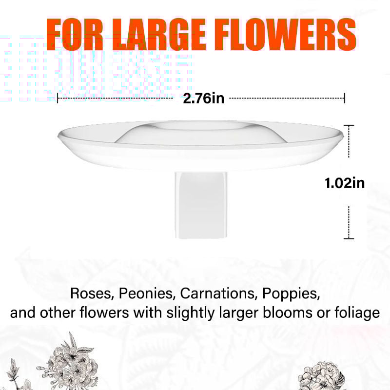 Creative Floating Floral Arrangement Holder