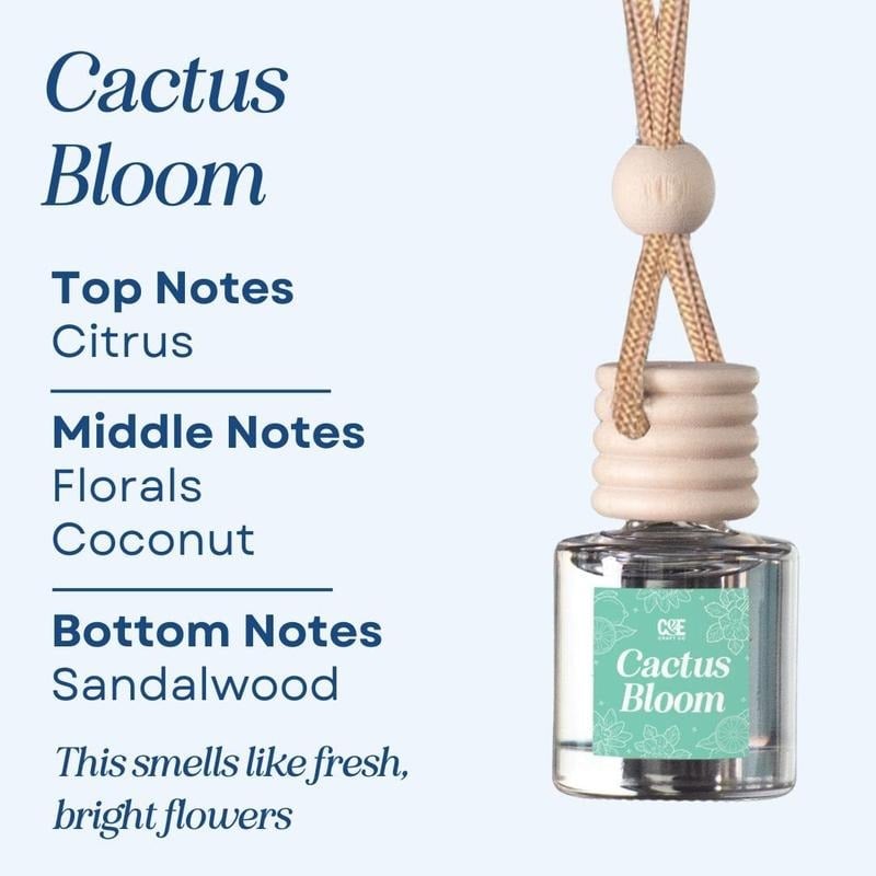 🍃Scented Car Air Freshener