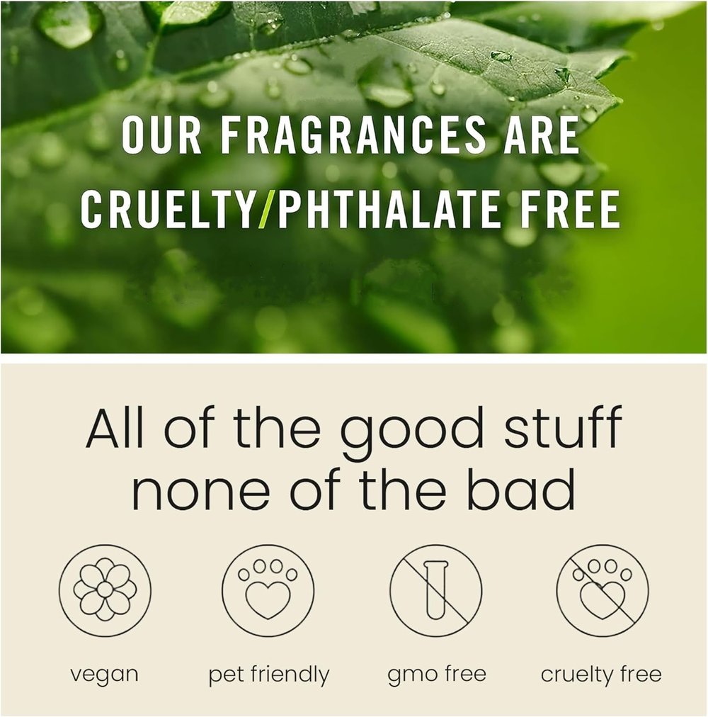 🍃Scented Car Air Freshener