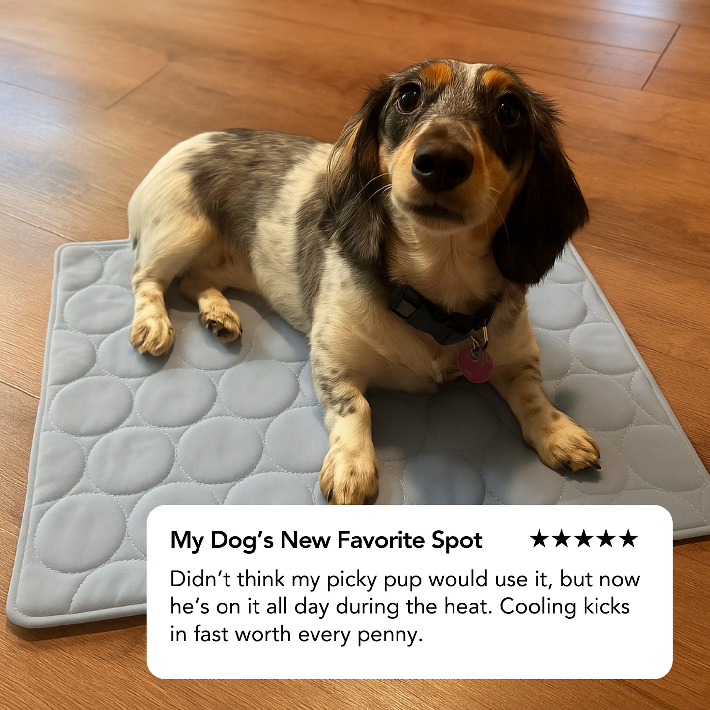 Dog Cooling Mat