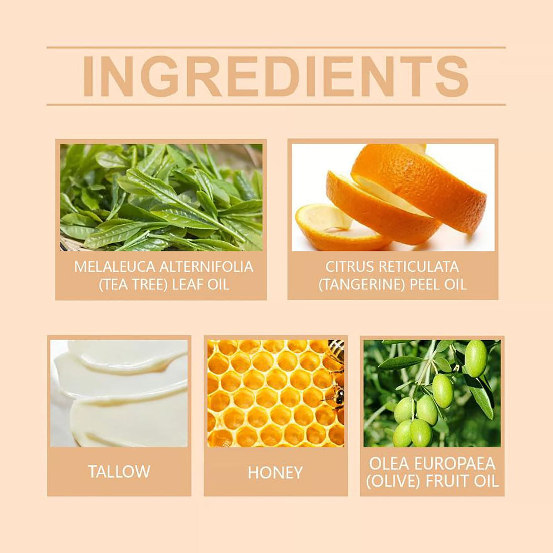 Organic Grass-Fed Beef Tallow Balm with Raw Honey