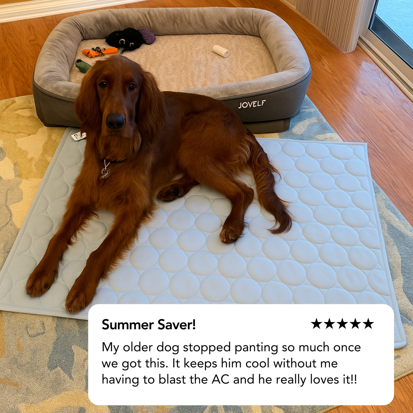 Dog Cooling Mat