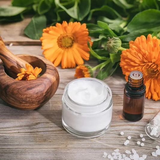 The Forgotten Apothecary Seed Chest - 40 Varieties of Non-GMO Medicinal Herb Seeds