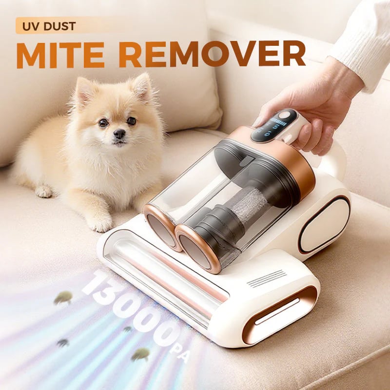 Time-Limited Special Mattress Vacuum Cleaner for Dust Mites Removal