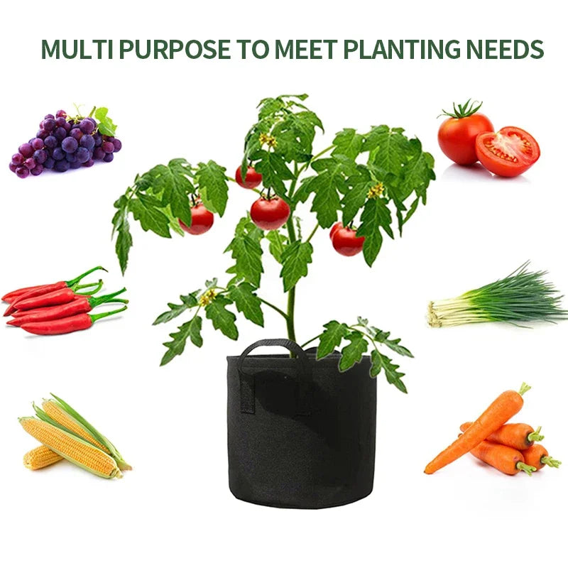 5-Pack 5 Gallon Grow Bags – Heavy Duty Fabric Pots with Handles for Vegetables, Flowers & Fruit Gardening