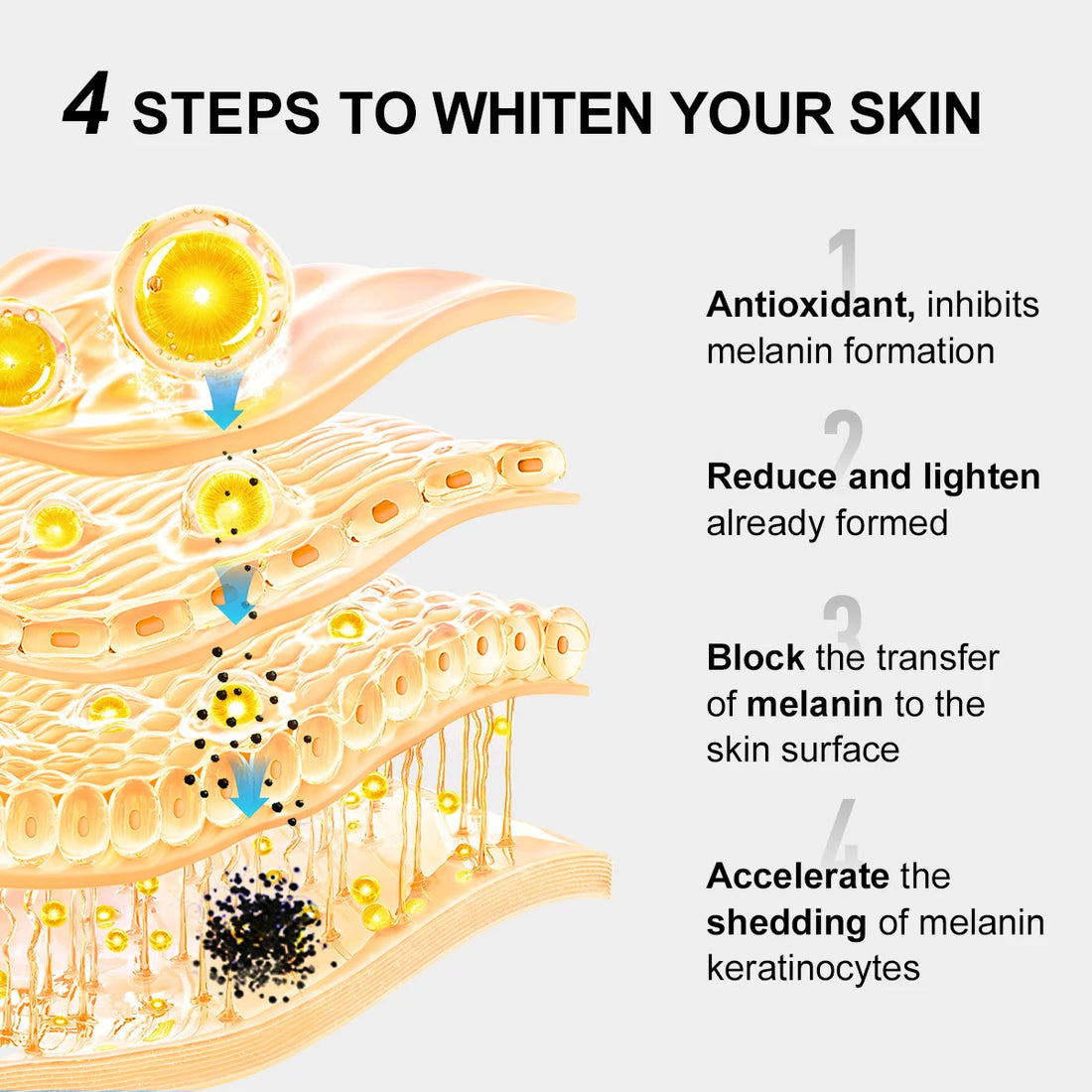 Vitamin C Niacinamide Brightening Face Cream