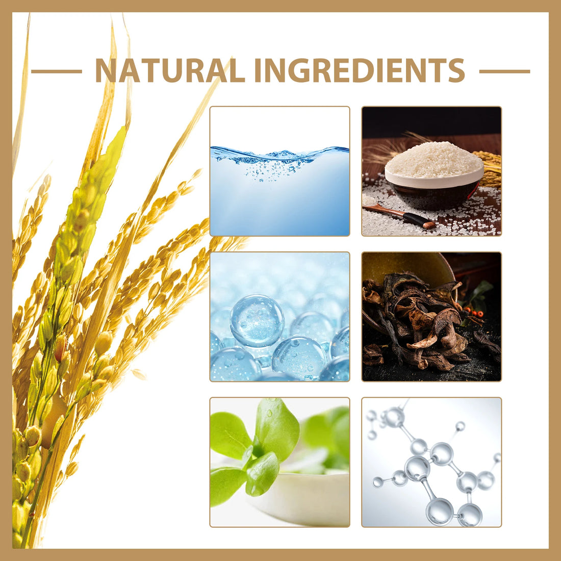 Rice Brightening Face Toner