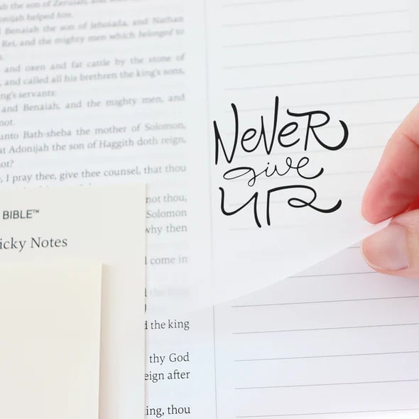 A Year in the Bible: A 52-Week Studya