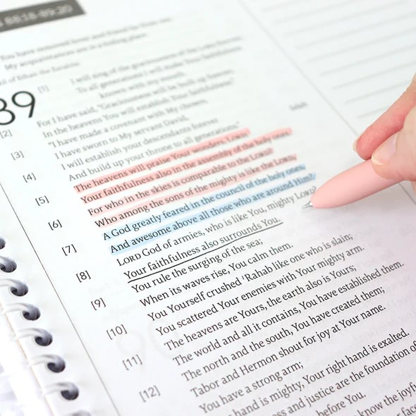 A Year in the Bible: A 52-Week Studya