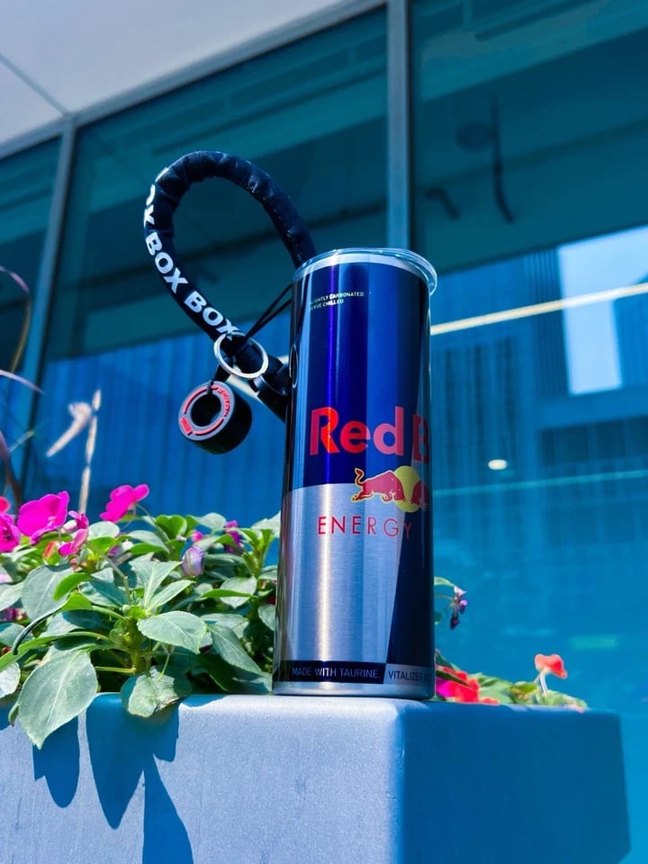 RED BULL RACING PILOT EDITION BOTTLE