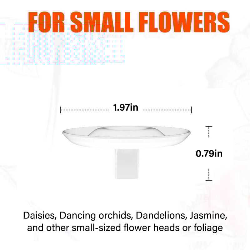 Creative Floating Floral Arrangement Holder
