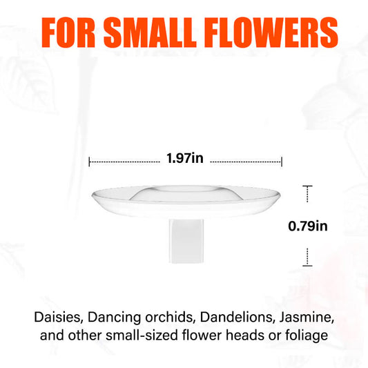 Creative Floating Floral Arrangement Holder